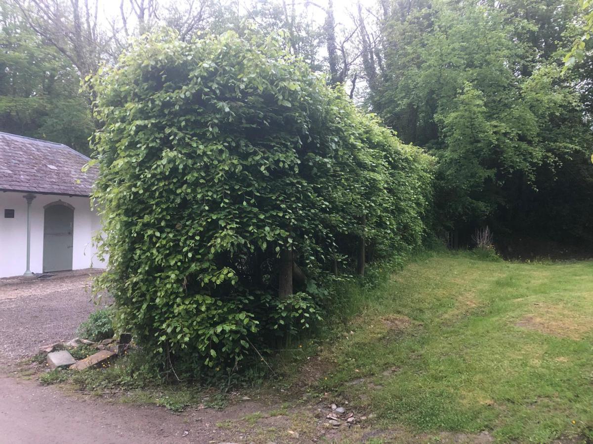 Stables Cottage, Idyllic Location Stunning Views Llandysul Εξωτερικό φωτογραφία
